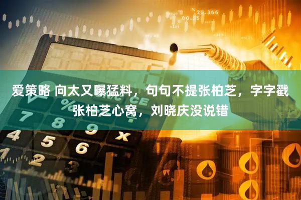 爱策略 向太又曝猛料，句句不提张柏芝，字字戳张柏芝心窝，刘晓庆没说错