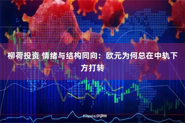 柳荷投资 情绪与结构同向：欧元为何总在中轨下方打转