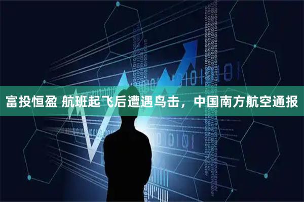 富投恒盈 航班起飞后遭遇鸟击，中国南方航空通报