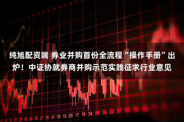 纯旭配资端 券业并购首份全流程“操作手册”出炉！中证协就券商并购示范实践征求行业意见